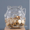 custom transparent Cat animal piggy bank box